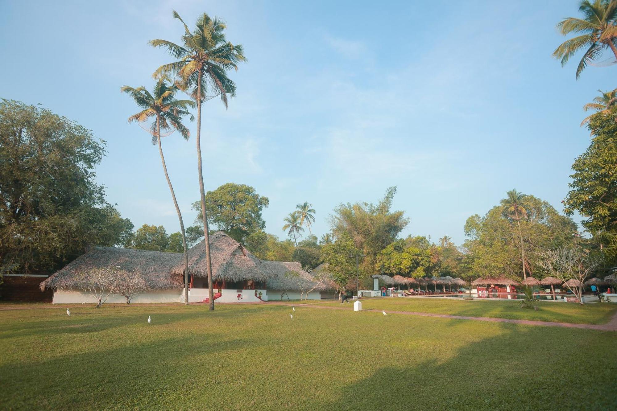 Marari Beach Resort Alleppey - A Cgh Earth Experience Mararikulam Esterno foto