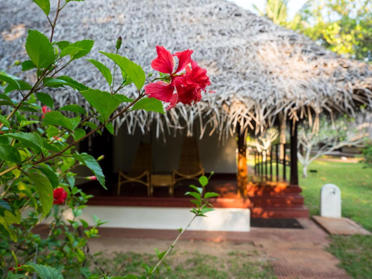 Marari Beach Resort Alleppey - A Cgh Earth Experience Mararikulam Esterno foto
